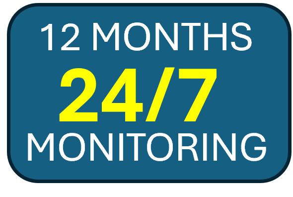 Professional Monitoring 24/7 Yearly Subscription