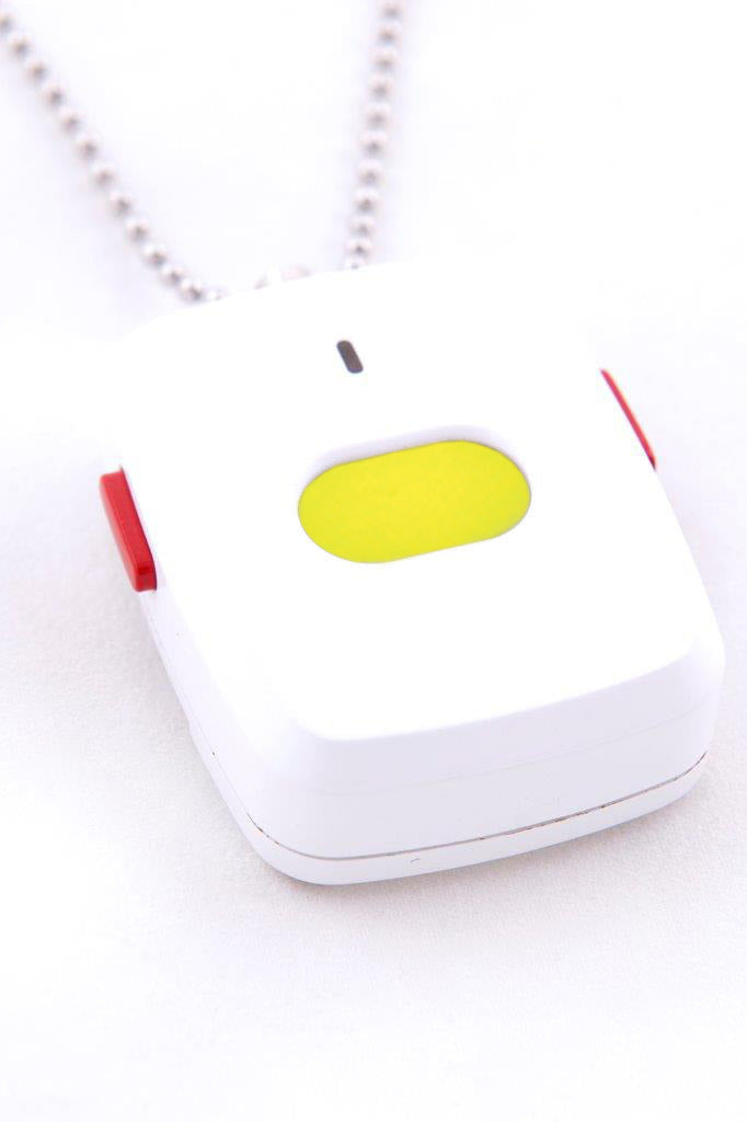 At Home Standard pendant