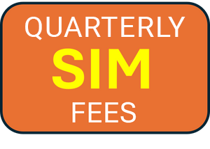 Monitoring by family or friends - Quarterly Subscription