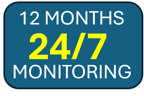 Professional Monitoring 24 x 7 Yearly Subscription