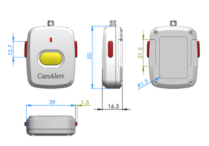 Standard pendant with pairing instructions