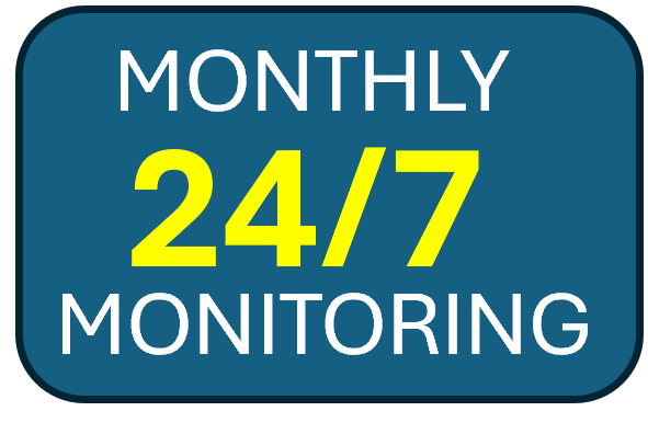 Professional Monitoring 24/7 Monthly Subscription